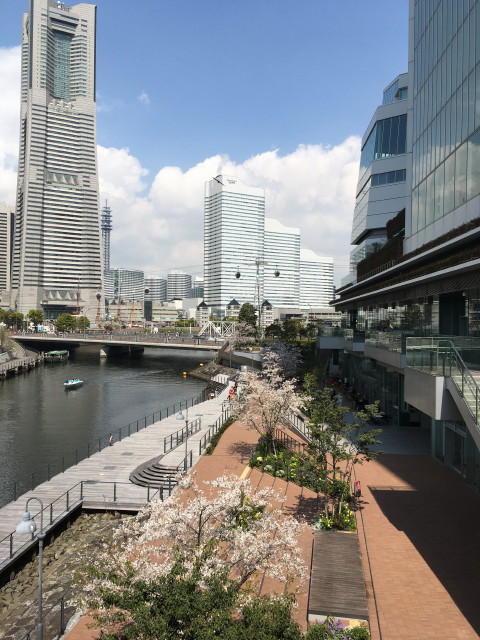 横浜･川崎でのテナント募集、ビル賃貸経営の管理、投資物件の仲介など事業用不動産専門（店舗･事務所など）